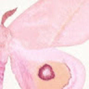 Meet your Posher, Abby drew